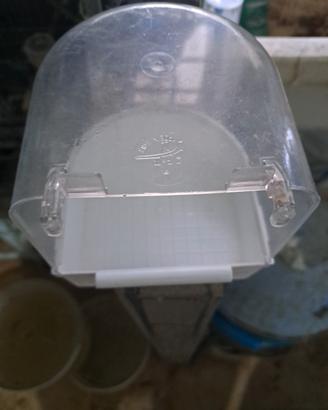 Bagnetti per uccelli