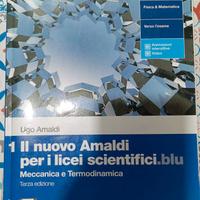 Il nuovo Amaldi ISBN 9788808938060