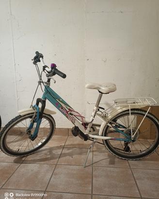 bicicletta bambina 20"