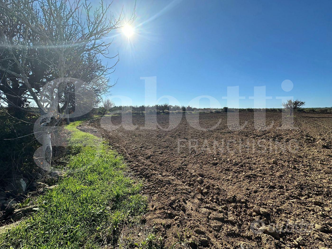 Terreno Agricolo Ugento [Cod. rif 3275972VCG] - Vista 4