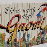 Il libro segreto degli gnomi