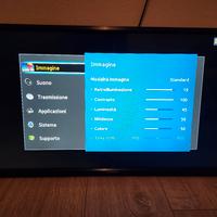 Monitor TV 24 pollici Samsung 