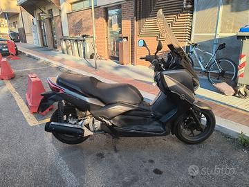 Xmax 250 2014