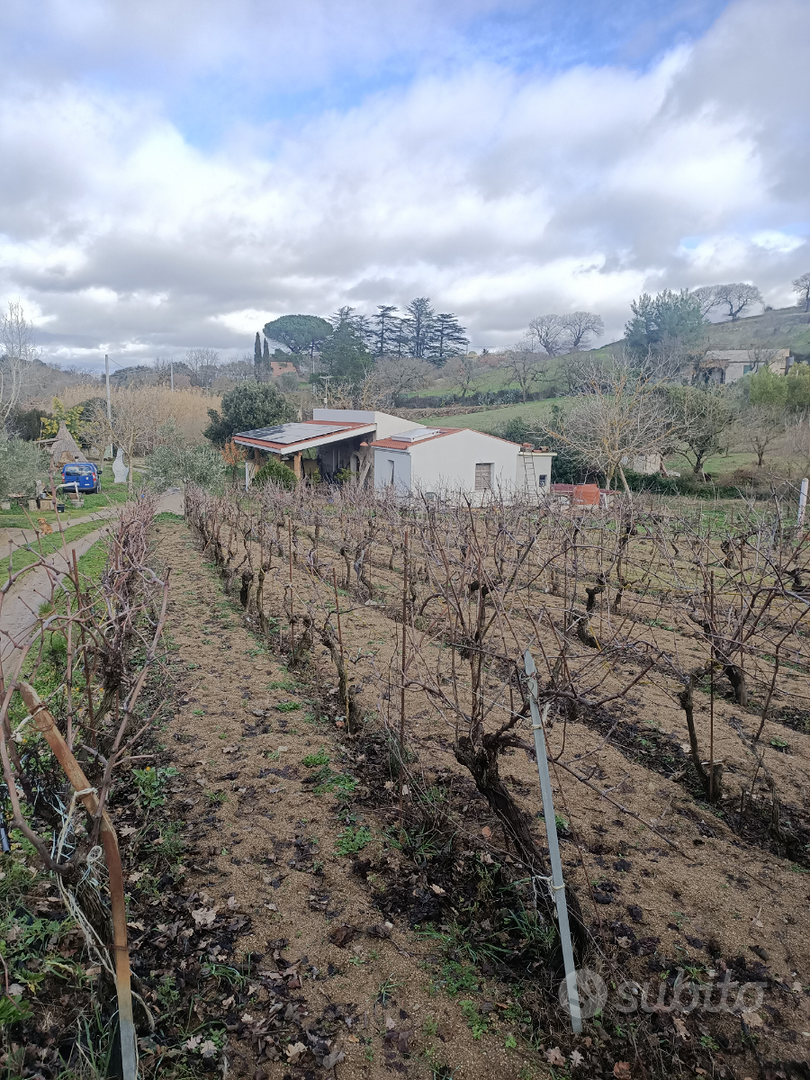 Terreno con casa - Vista 3