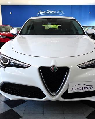 Alfa Romeo Stelvio 2.2 MJT 160 CV AT8 RW SPORT TEC