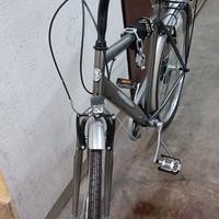 BICI DARICELLO - UOMO 