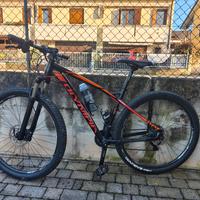 MTB muscolare Olympia 
