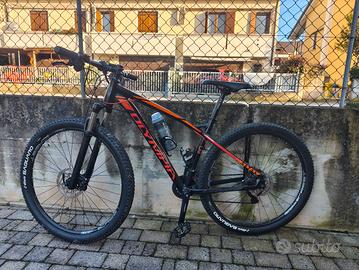 MTB muscolare Olympia 