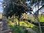 Immagine 25