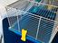 Immagine 4