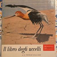 Il libro degli uccelli