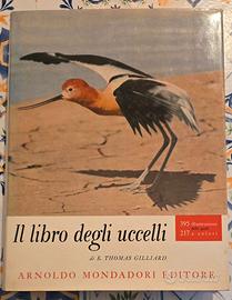 Il libro degli uccelli