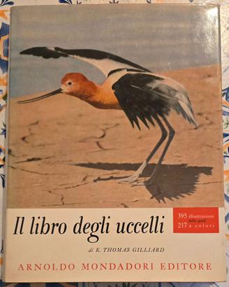 Il libro degli uccelli
