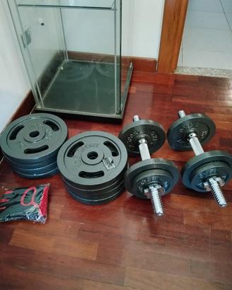 palestra dischi pesi 55 kg+ 2 manubri leggi 