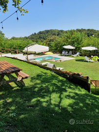 Appartamento con giardino e piscina
