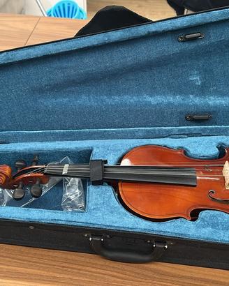 Violino