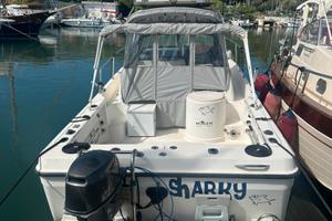 Barca Bayliner Trophy 2352
