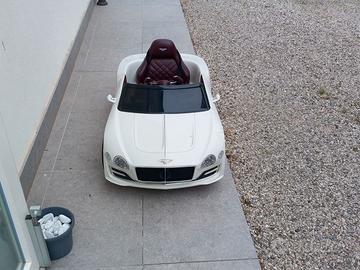 Auto elettrica