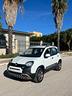 fiat-panda-cross-1-3-mjt-95-cv-s-s-4x4