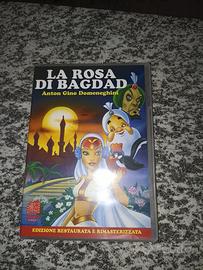 DVD: La rosa di Bagdad