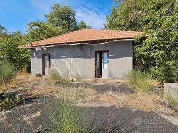 Cod.TC126 Rustico con terreno Tarderia alta