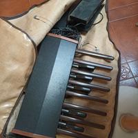 Organo farfisa