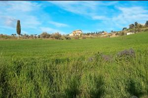 Terreno vicino città via Borremans