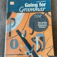 Lelio Pallini - Going for Grammar