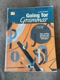 Lelio Pallini - Going for Grammar