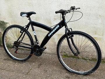 Bicicletta mountain bike da sistemare