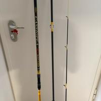 Canna da pesca trabucco Cassiopea xct Surfcasting