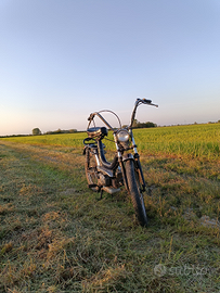 MZV Cambridge 50 1976