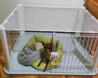 Box/gabbia per cane piccola taglia