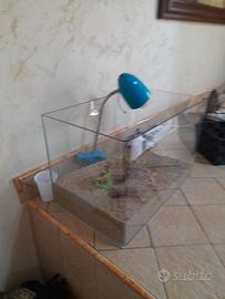 Vasca per pesciolini 50 L