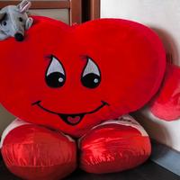 Peluche Cuore