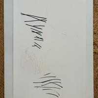 Disegno Litografia Tecnica Mista - Jan Van Oost