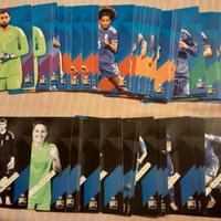 Figurine Adrenalyn Esselunga - comuni 0,5 cad