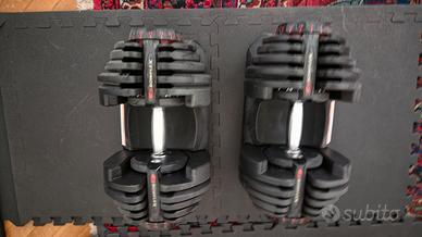 Manubri Bowflex 1090