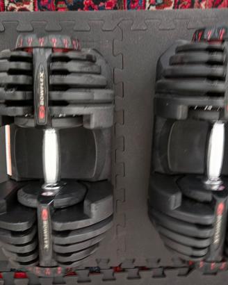 Manubri Bowflex 1090