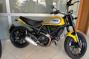 Ducati Scrambler 800 icon Yellow - 2021