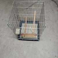 Gabbia per uccelli pappagalli
