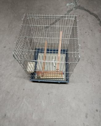 Gabbia per uccelli pappagalli