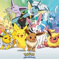 Lotto Carte Pokemon Maxi 