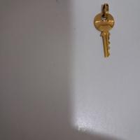 Ciondolo chiave in oro 750