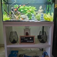 ACQUARIO ASKOLL PURE XL