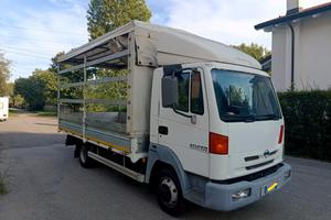 Nissan alteon turbo Patente C centina e telone