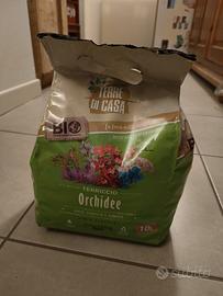 Terriccio per orchidee