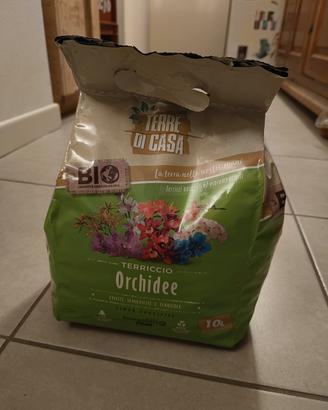 Terriccio per orchidee