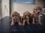Immagine 5