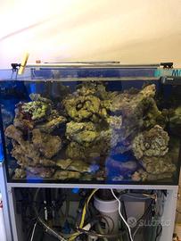 Rocce x acquario  Marino